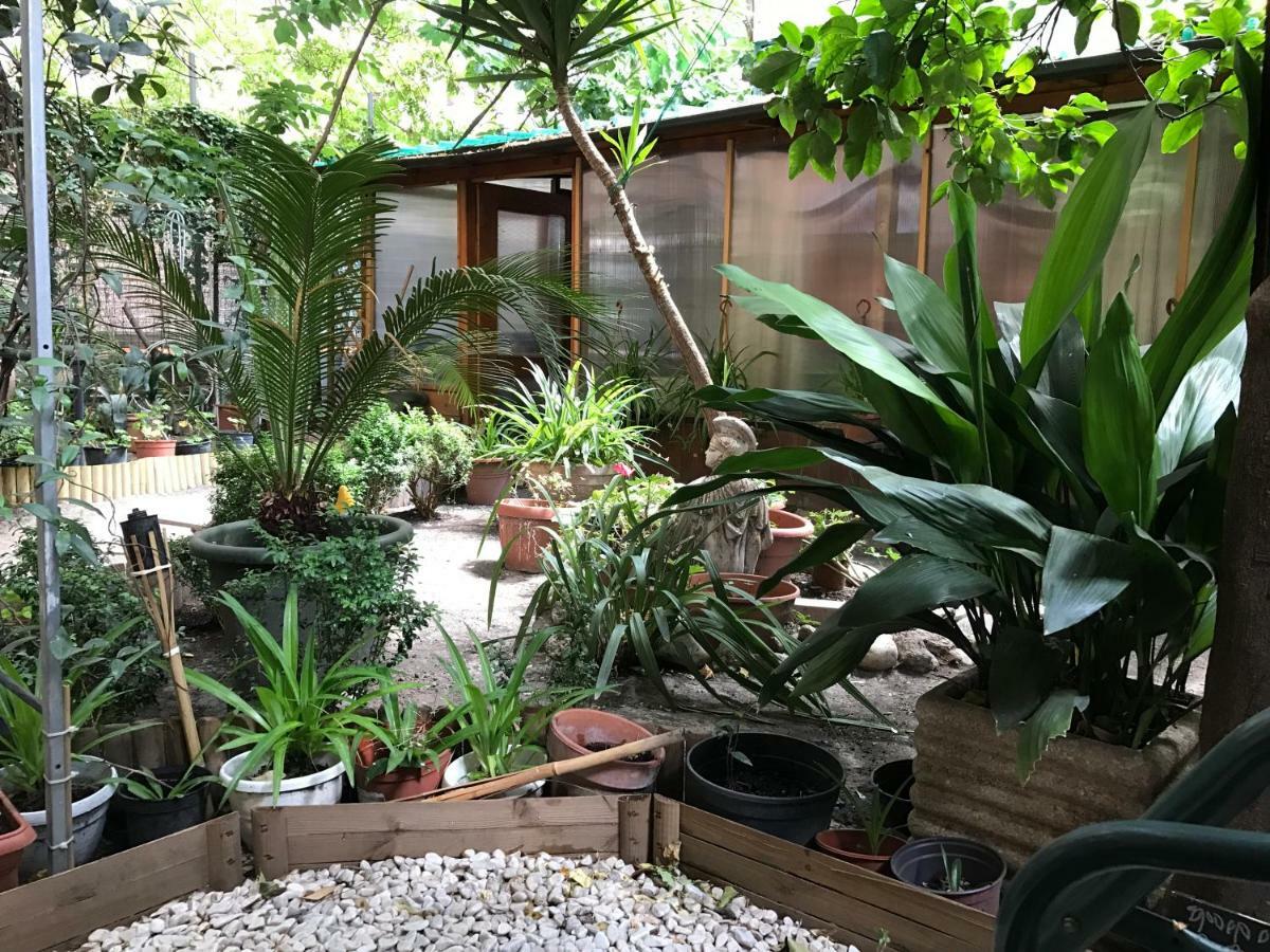 La Casa Di Elena — Fotos 3